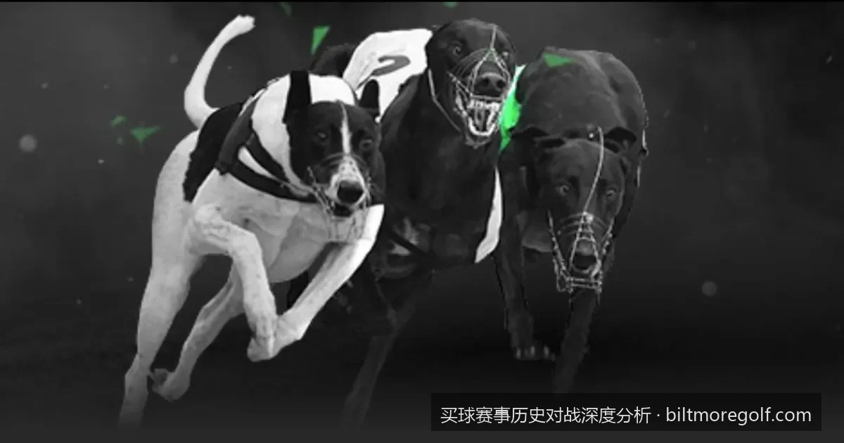 2026世界杯强强对话：如何通过历史交锋数据洞察胜负天平